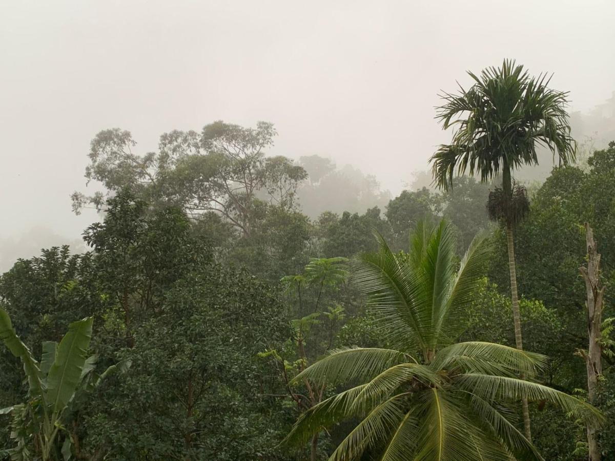 Jungle View Cottage Ella Exteriör bild